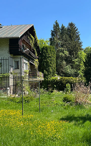 Grundstück mit Altbestand, grüner Wiese und Bäumen